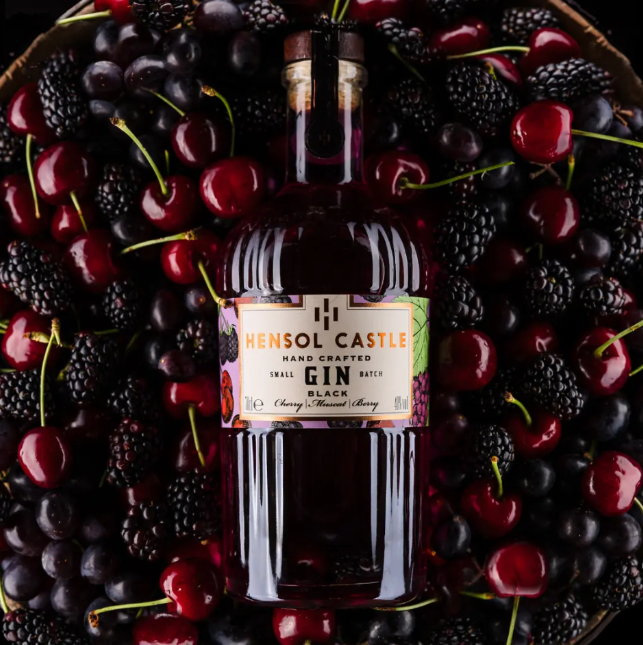 Hensol Castle Black Cherry Gin 70cl
