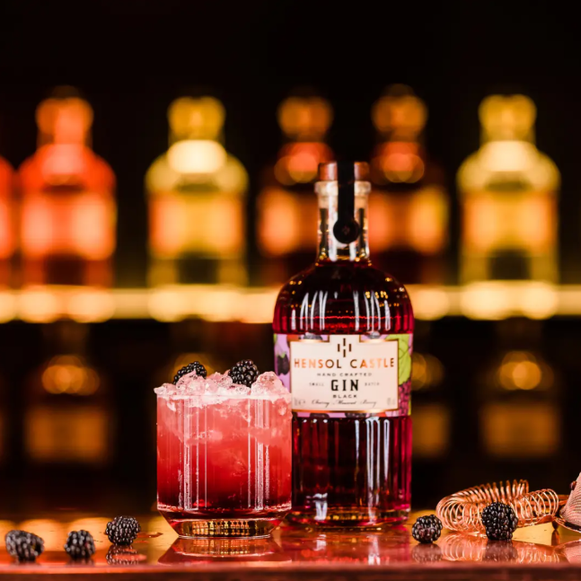Hensol Castle Black Cherry Gin 70cl